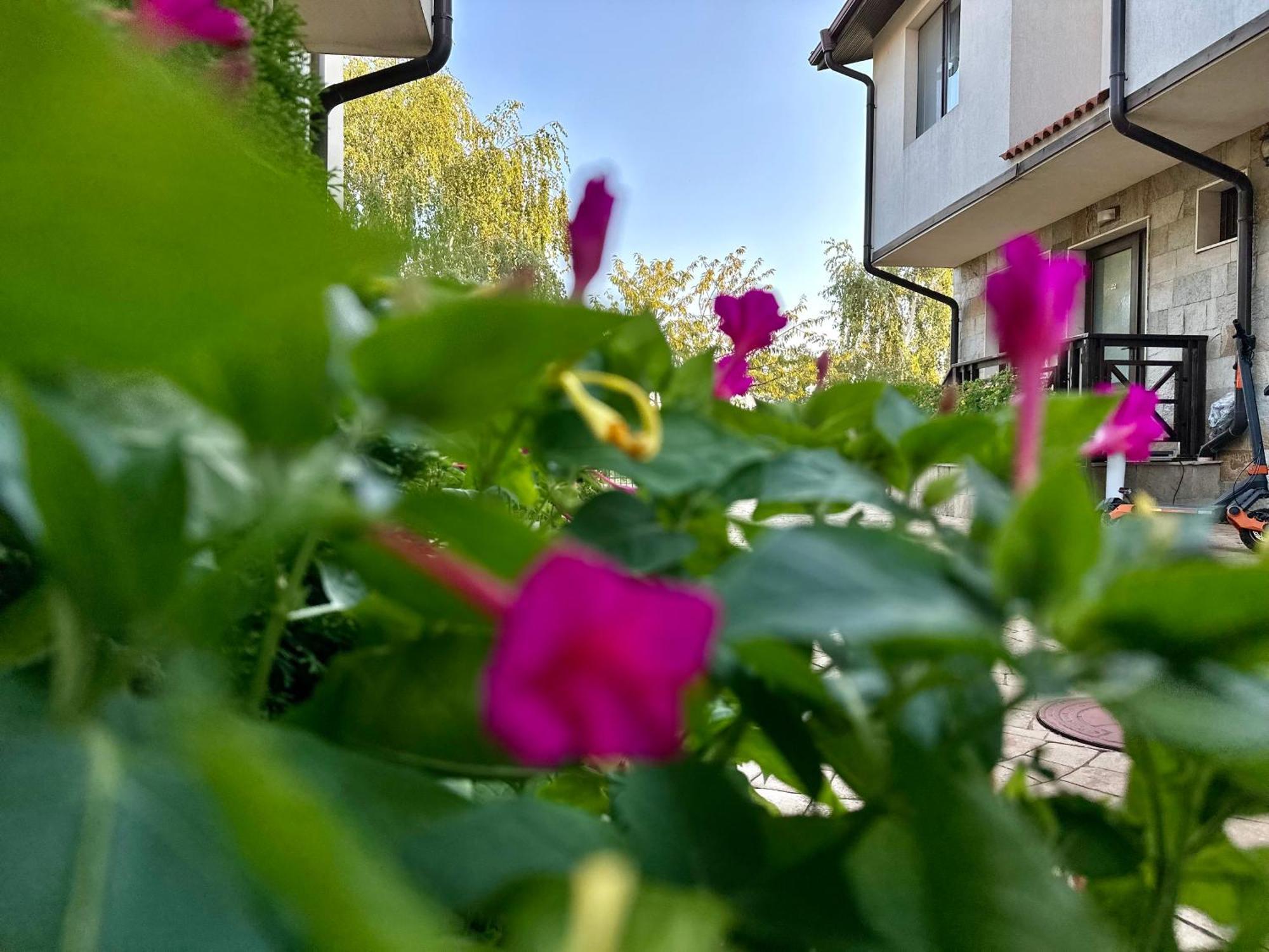 Menada Imperial Heights Villas Sunny Beach Exterior foto